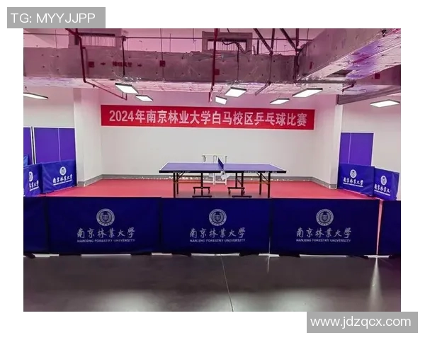 南京乒乓球队引领风潮最新乒乓球意识TOP10榜单揭晓