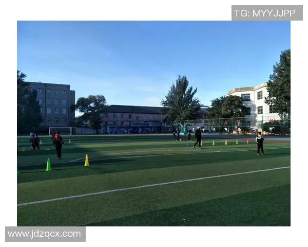 绝望的主妇足球明星在绿茵场上追梦的奇幻旅程与人生转折